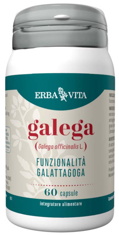 GALEGA 60 CAPSULE - Angeli Pharm