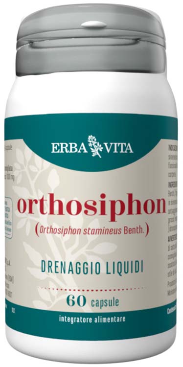 ORTHOSIPHON 60 CAPSULE - Angeli Pharm